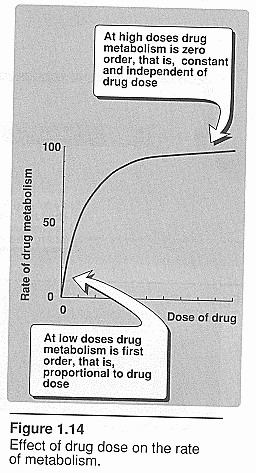 Rate Of Metabolism.  Viewable Online.