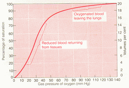 Figure 40-8